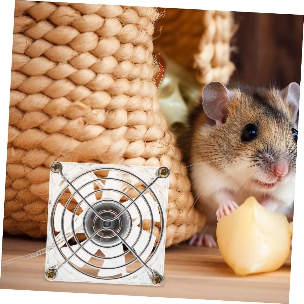 Mini Acrylic Hamster Cooling F - Usb Fan Silent ulasan dan harga