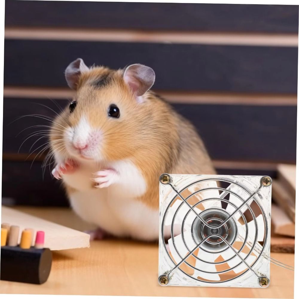 Mini Acrylic Hamster Cooling F - Usb Fan Silent ulasan dan harga